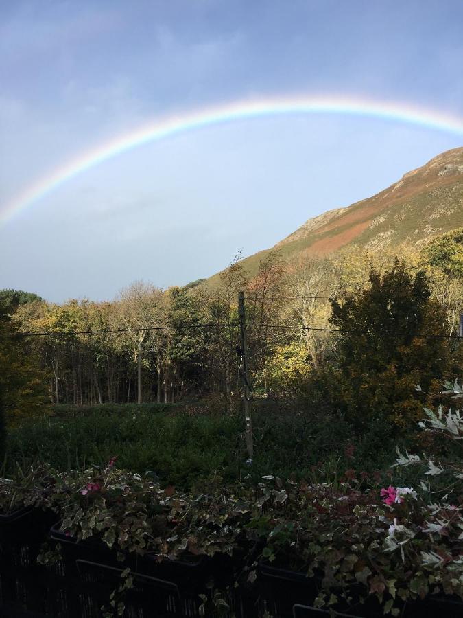 Woodbriar Bed & Breakfast Penmaenmawr Exterior photo